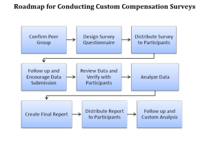 compensation survey roadmap